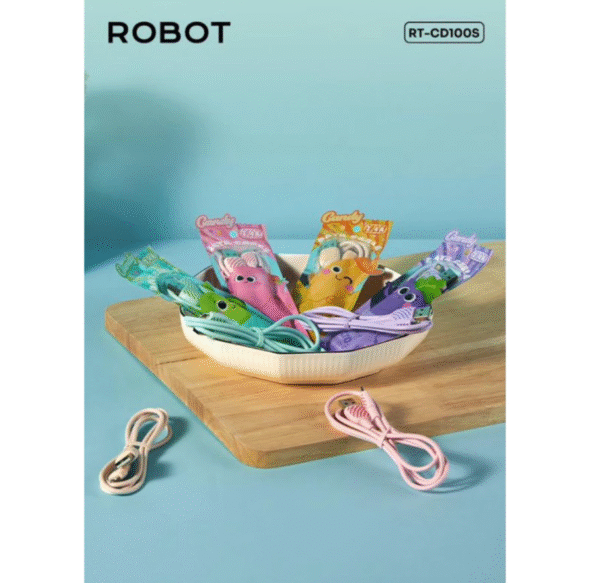 KD ROBOT RT-CD100S - Gambar 2